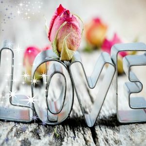 Meet your Posher, Normitadebaten